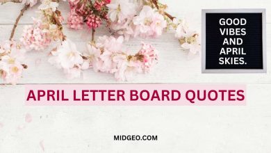 130 April Letter Board Quotes: Spring 2025 Inspiration & Fun! 12 april letter board quotes