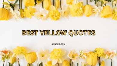 130 Best Yellow Quotes to Brighten Your Day 3 best yellow quotes