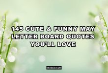 cute funny may letter board quotes