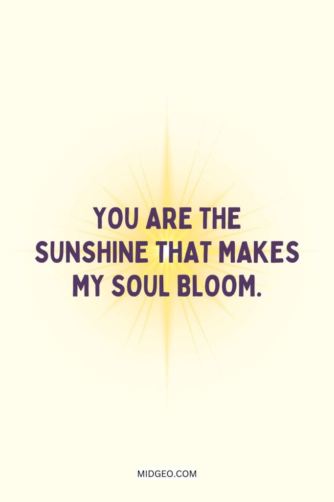 290 Feel-Good Sunshine Quotes to Brighten Your Day 5 short sunshine quotes for quick positivity