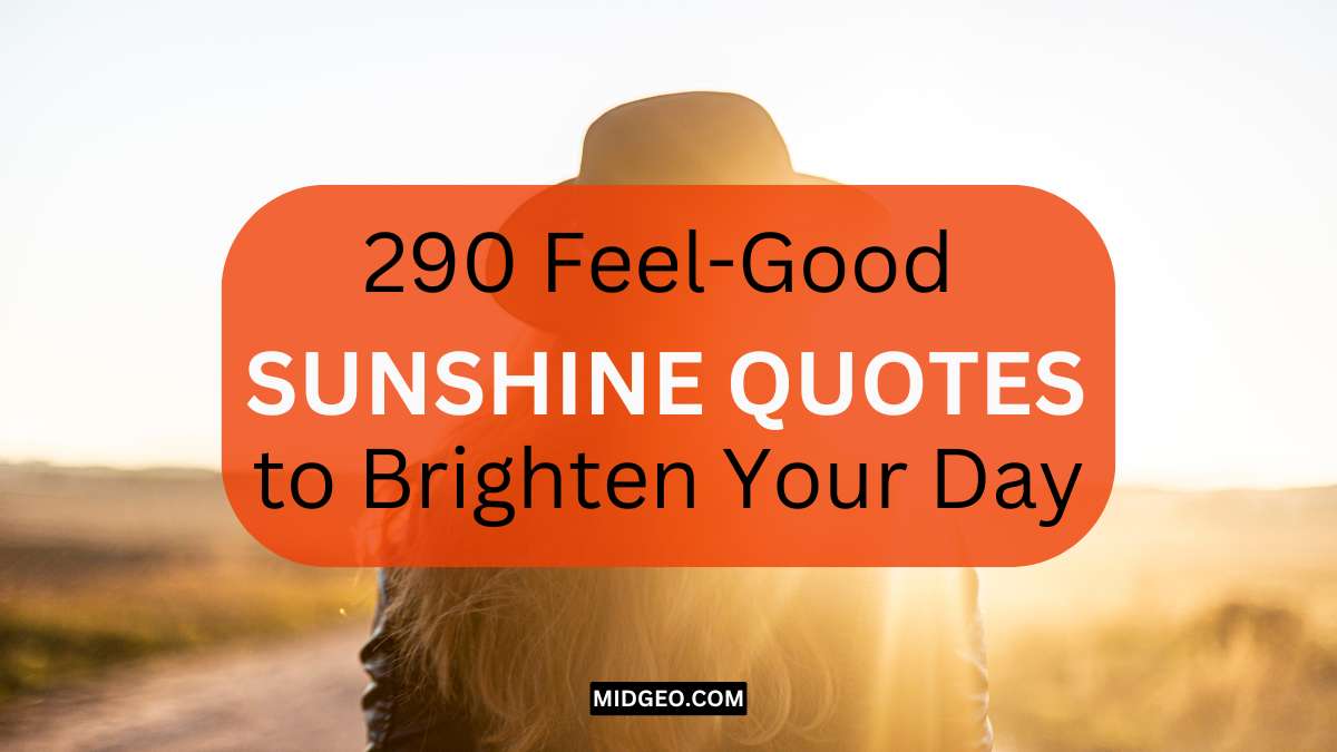 290 Feel-Good Sunshine Quotes to Brighten Your Day 1 sunshine quotes to brighten your day