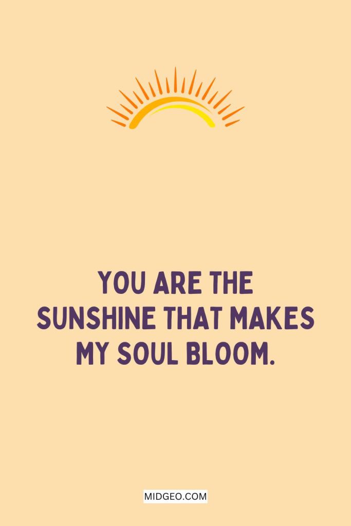 290 Feel-Good Sunshine Quotes to Brighten Your Day 4 you are my sunshine quotes for someone special