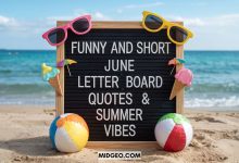 Funny and Short June Letter Board Quotes Summer