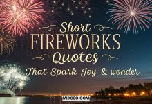 Short Fireworks Quotes That Spark Joy Wonder