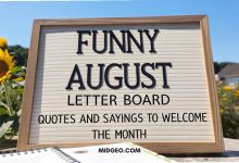 Funny August Letter Board Quotes and Saying to Welcome the Month