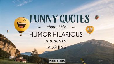 funny quotes about life humor hilarious laughing