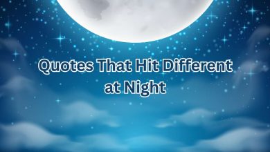 Quotes That Hit Different at Night: Thought-Provoking Words for the Late Hours 3 quotes that hit different at night