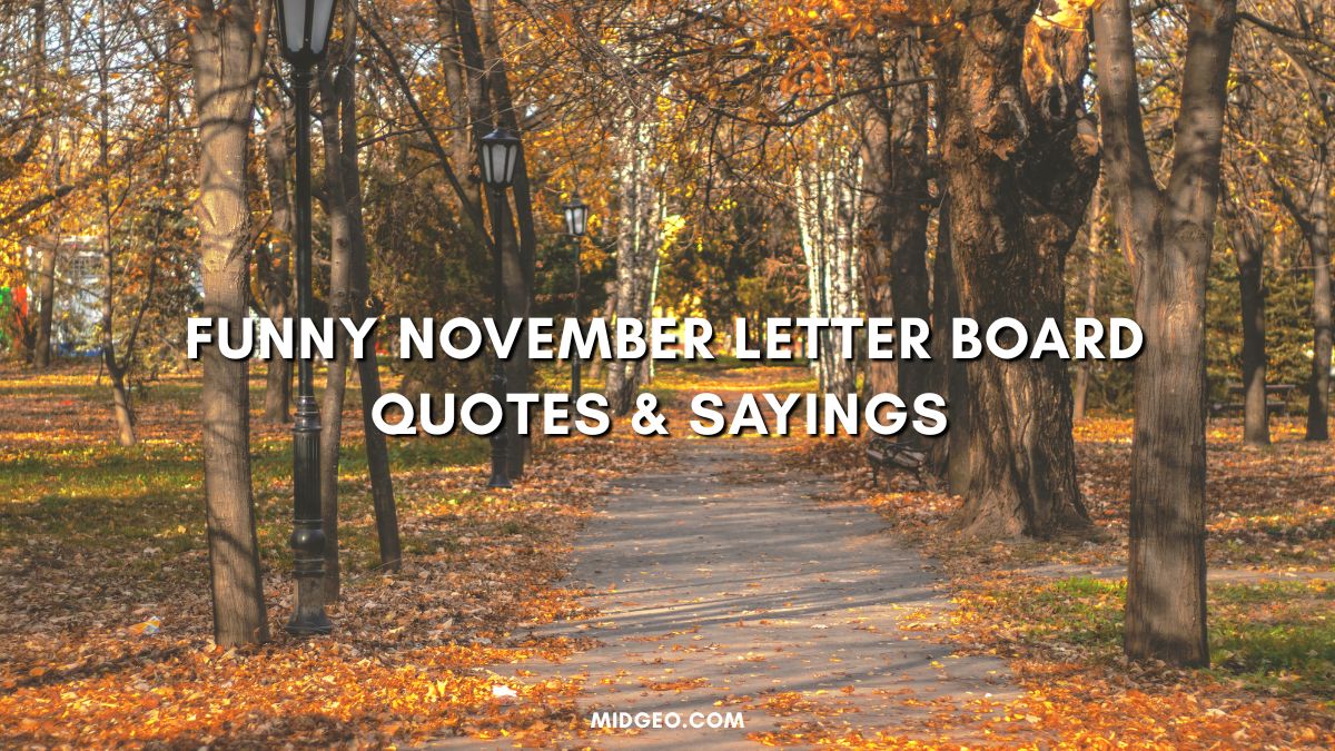 Funny November Letter Board Quotes Sayings