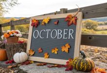 October Letterboard Quotes to Celebrate Fall Vibes