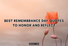 Best Remembrance Day Quotes to Honor
