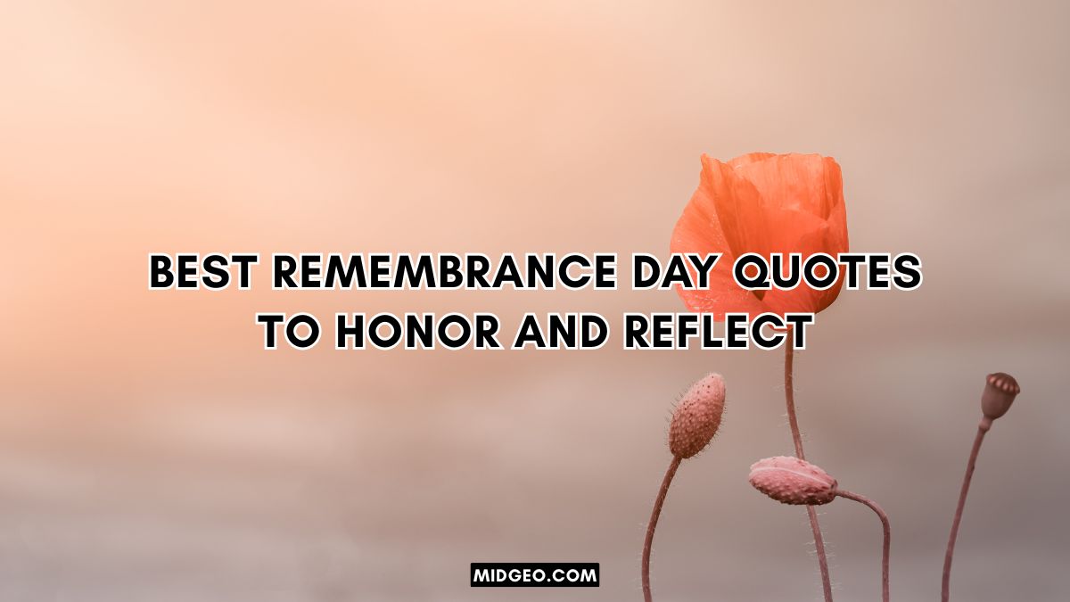 Best Remembrance Day Quotes to Honor